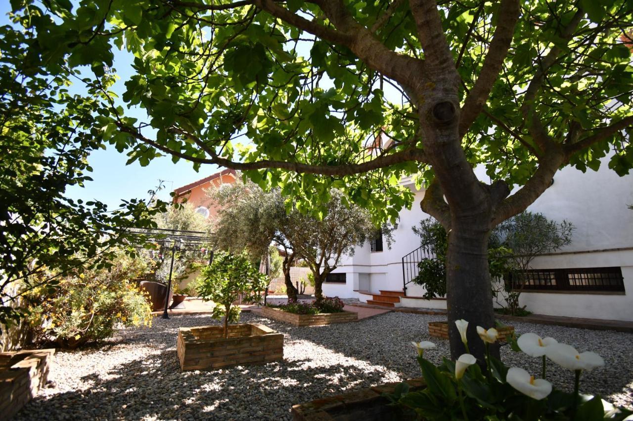 Villa Maria, Piscina Y Spa Exterior Privado Belicena 外观 照片